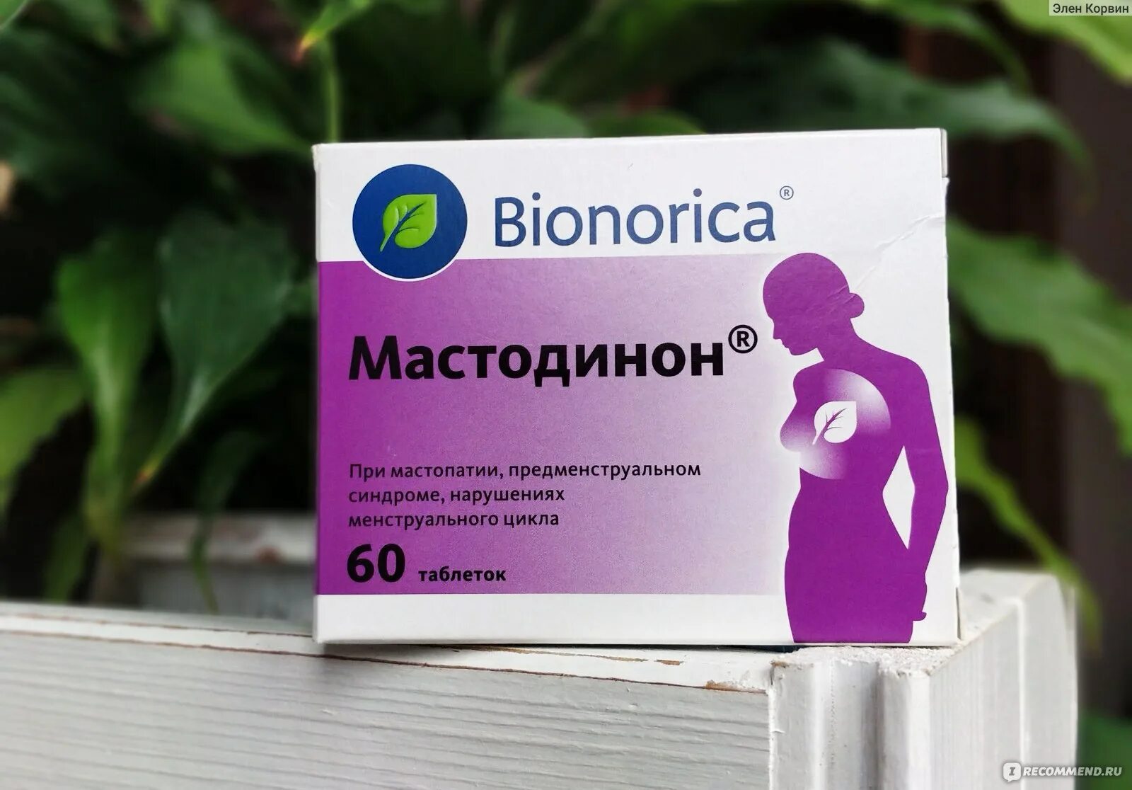 Bionorica Мастодинон. Мастодинон n60 табл. Мастодинон прутняк. Мастодинон Эвалар. Мастодинон купить в москве