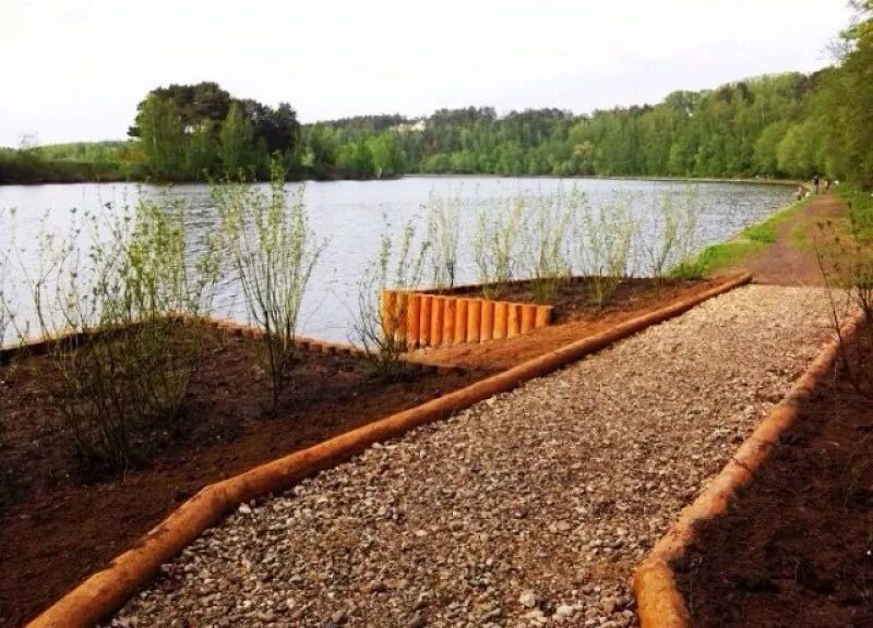 Вплоть берег. Берегоукрепление деревянный шпунт. берегоукрепление пруда лиственницей. берег реки укрепленный бревнами. шпунт берегоукрепление композитные.