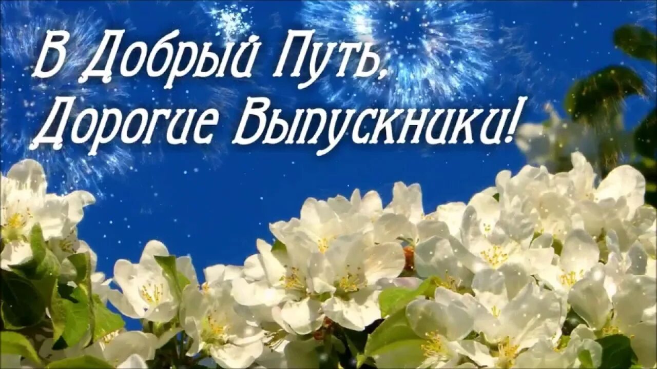 В добрый путь выпускники. В добры йцпуть. В добрый путь. В добрый путь выпускники баннер.