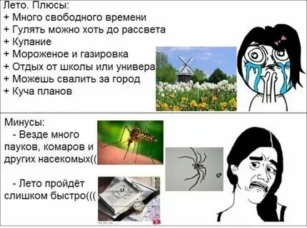 Зачем это лето минусовка