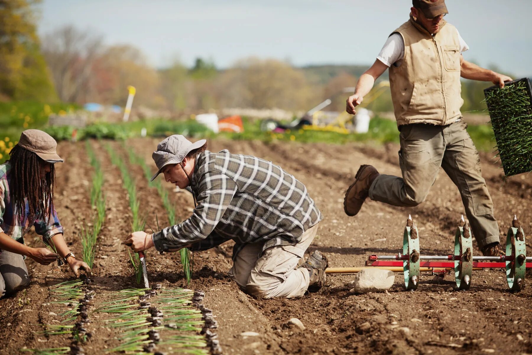 Go digging. Sustainable Agriculture. Farmer's Life сорняк. Farmer Soil. Farmer Soil buhgalter.