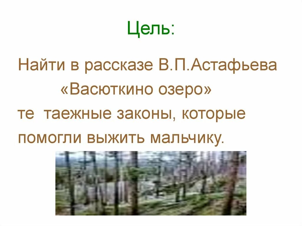 Отрывок тайга тайга васюткино озеро. Таёжные законы в рассказе Васюткино. Законы тайги в рассказе Васюткино озеро. Таежные законы. Знание законов тайги Васюткино озеро.