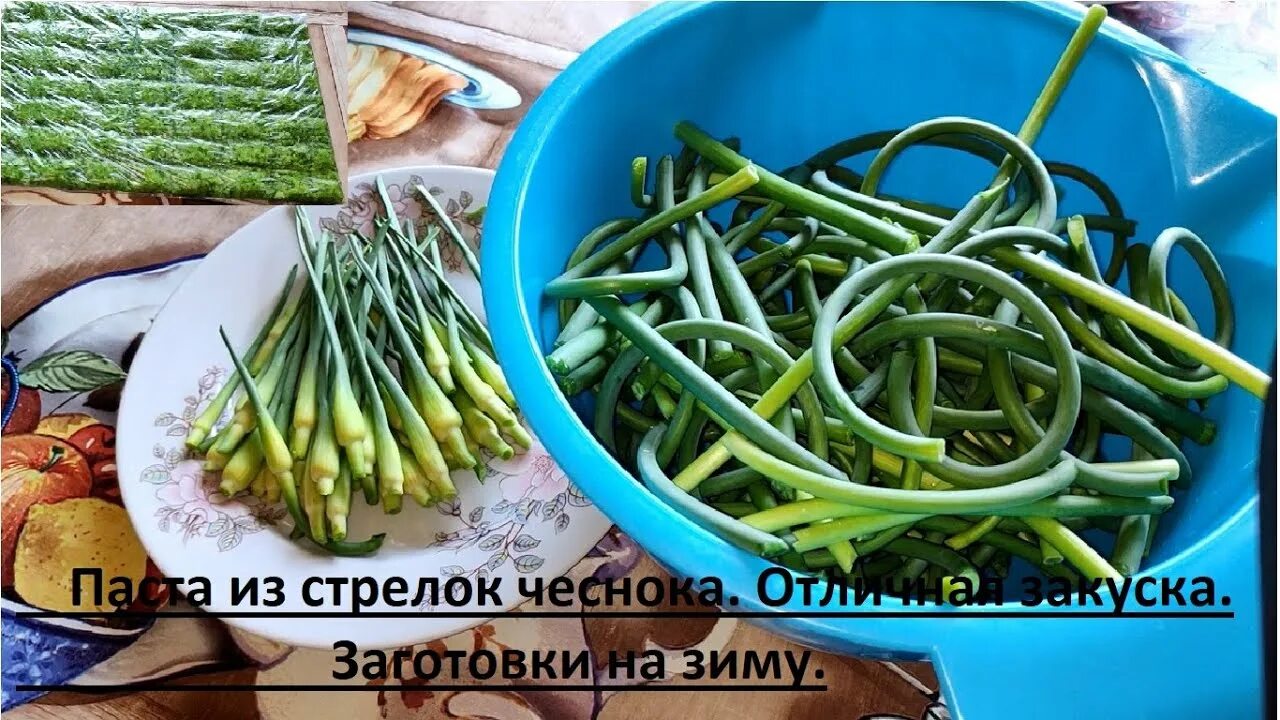 Чесночные стрелки пошагово. Вареные стрелки чеснока. Стрелки чеснока. Стрелки чеснока. Чесночные стрелки пошагово.