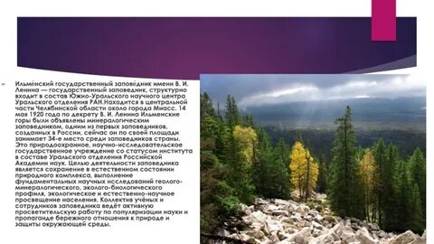 Ильменский заповедник находится в лесной зоне