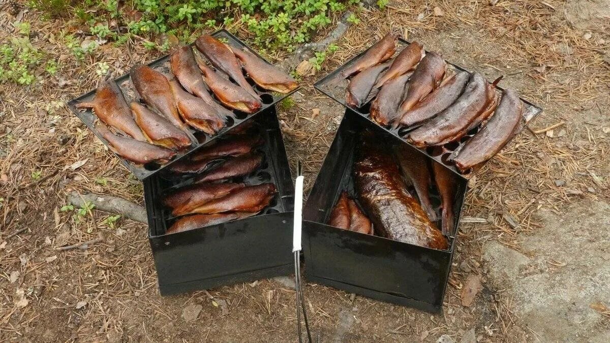 Принцип действия коптильни горячего и холодного копчения. Самодельная коптилка горячего копчения. Коптилка холодного копчения. Коптилка полугорячего копчения. Копчение мяса и рыбы.