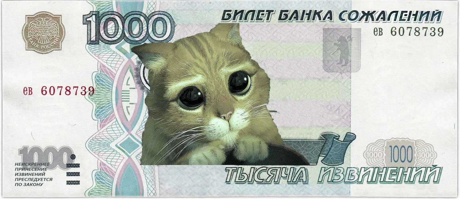 Принесение извинений. 1000 Извинений купюра. Банкнота с котом. Купюра прикол. Деньги с изображением кошки.