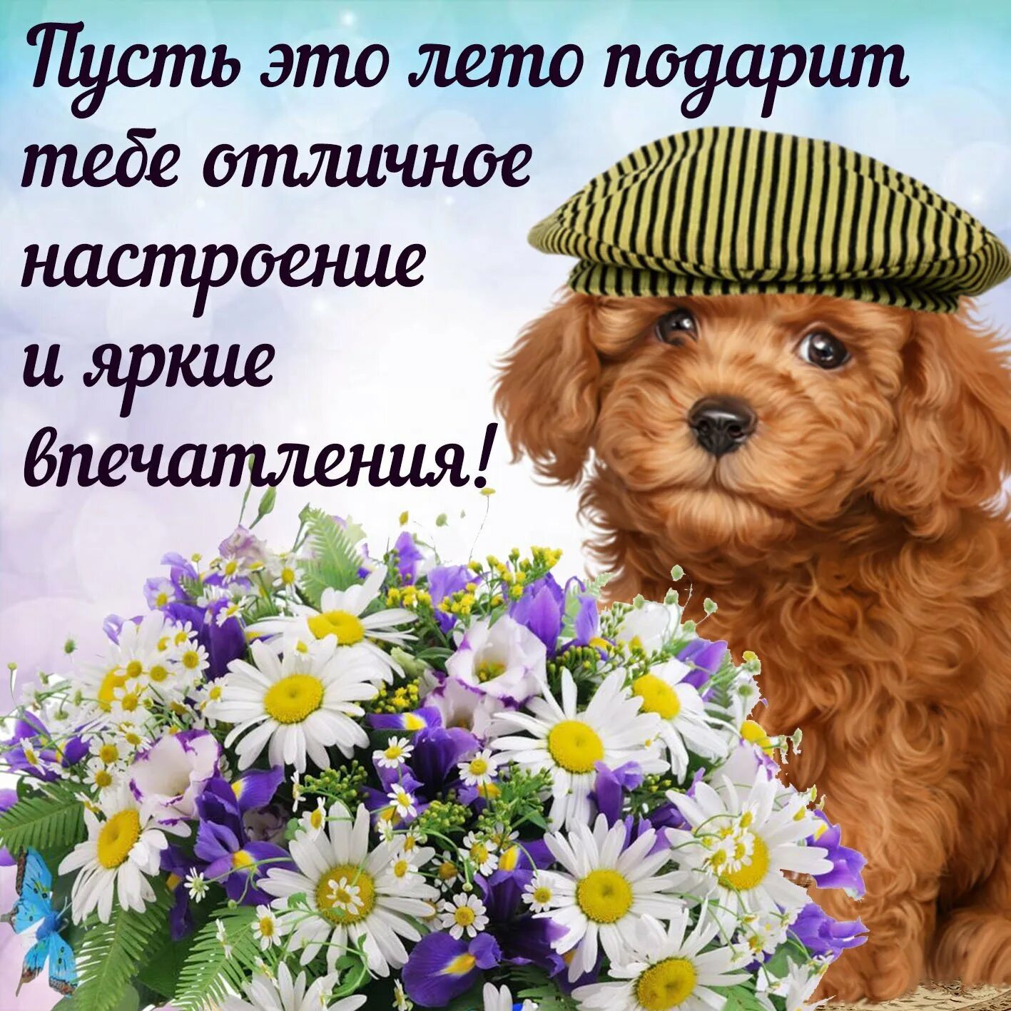 Я так хочу чтобы лето слова