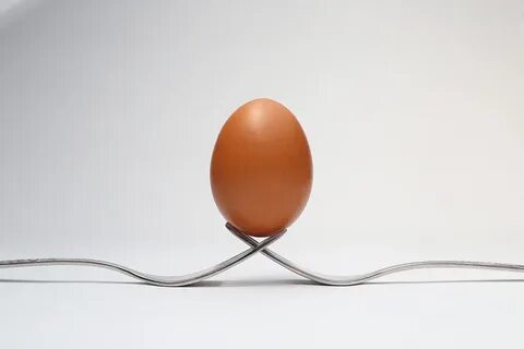 An egg