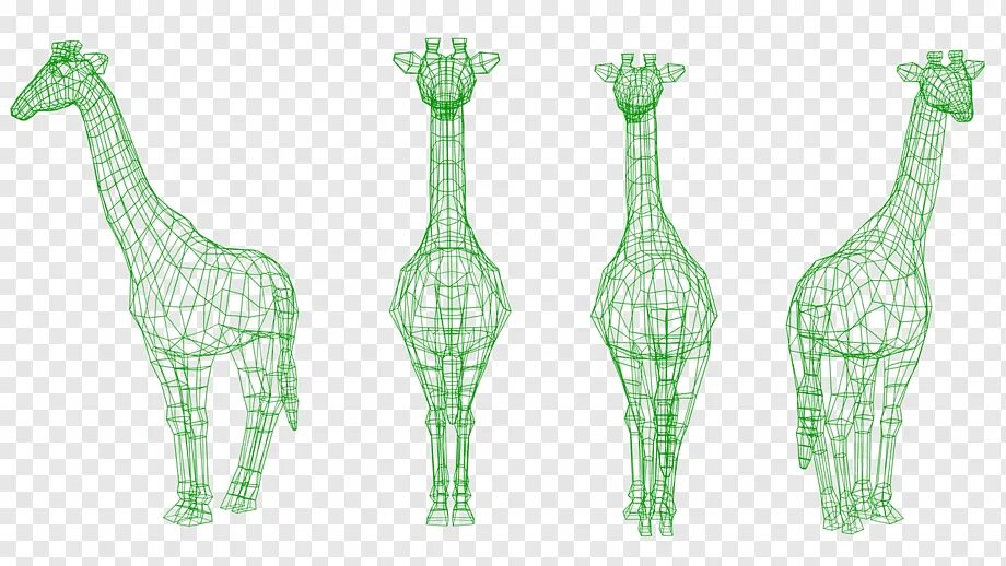 Жираф 3д ручкой. Жираф референс. Жираф рисунок. Скелет жирафа.