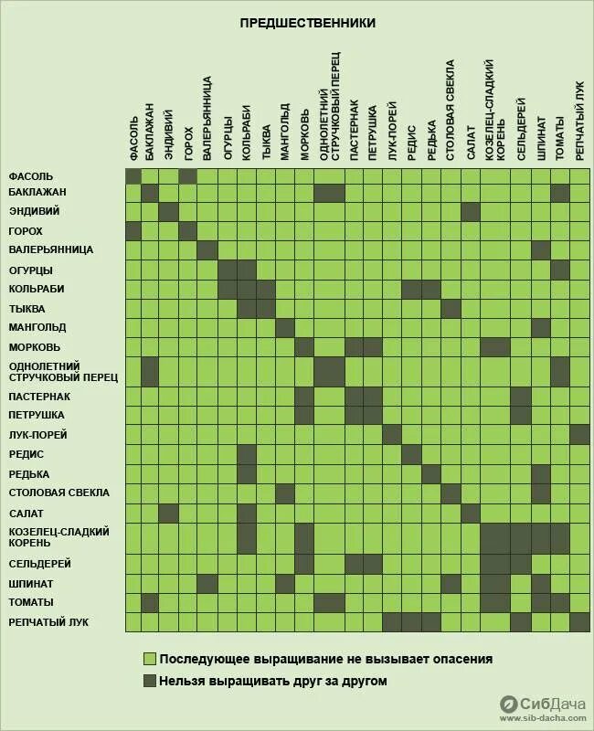 Какие культуры можно сажать рядом. Схема посадки овощных культур таблица. Таблица севооборота посадки овощей на огороде. Таблица совместимости посадок овощных культур. Совместимость огородных растений на грядке таблица.