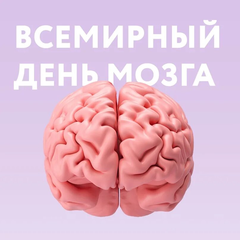 Всемирный день мозга. 22 Июля Всемирный день мозга. Мозг эпилептика и здорового человека. Задания для мозгов. Когда день мозгов