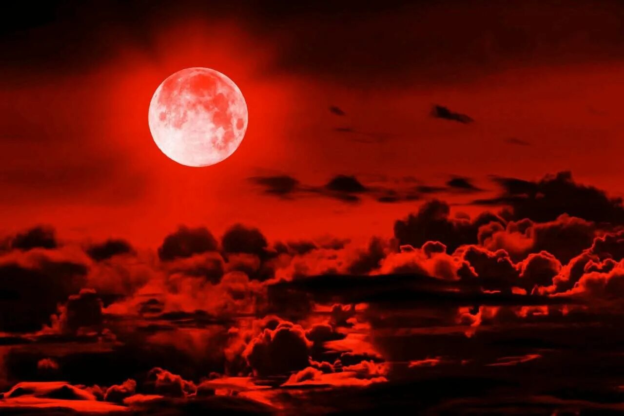 Neo red moon. кровавая луна затмение. красная луна фото. луна красного цвета. Neo red moon.