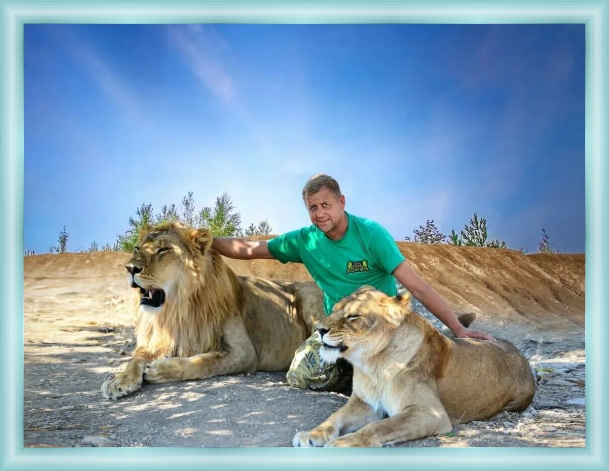 Зубков олег алексеевич тайган. Директор парка тайган. Олег зубков парк львов тайган. Сафари парк тайган олег. Олег зубков парк львов.