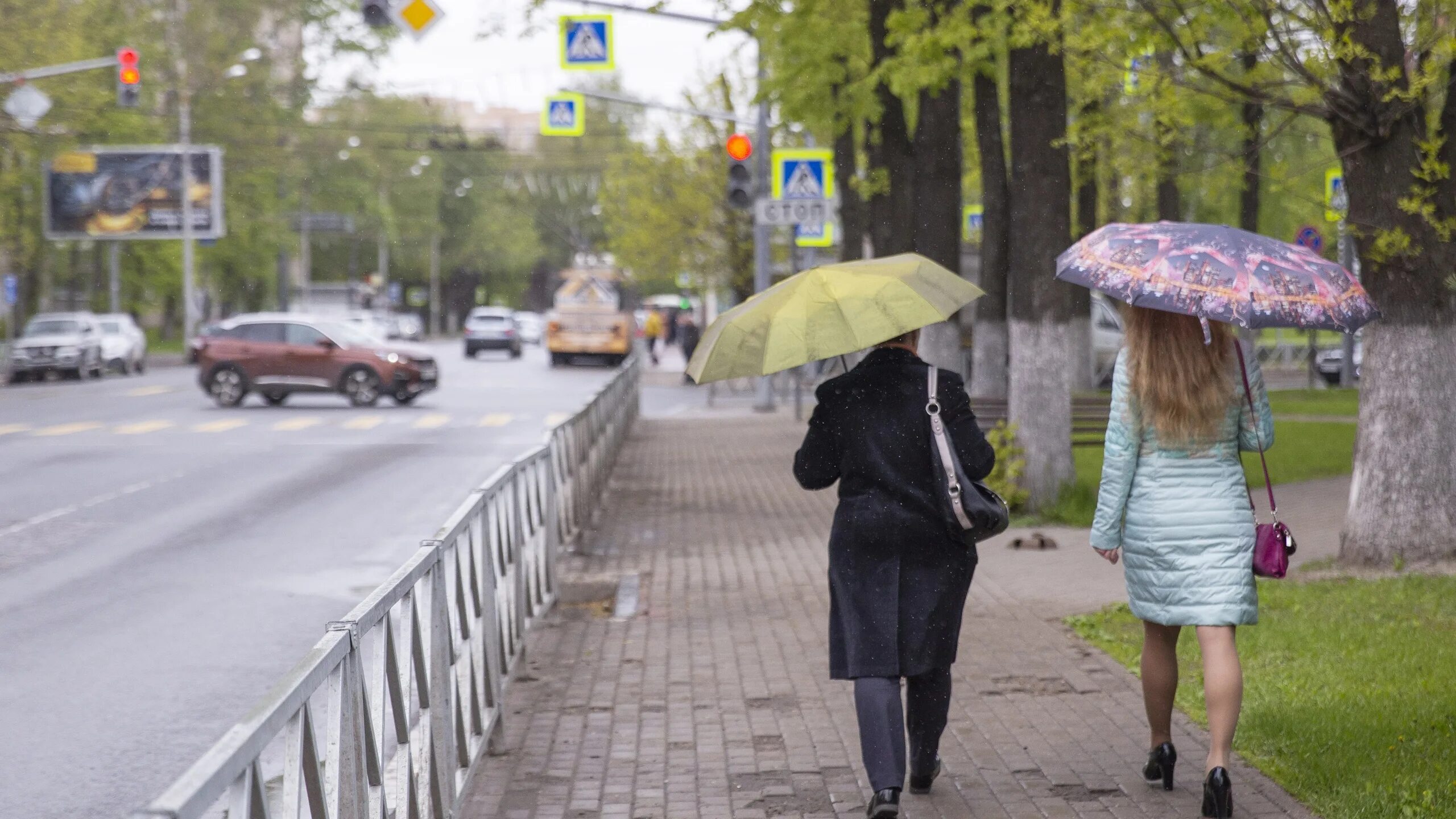 Теплая погода. Осенняя съемка на дороге. Ярославль осень. Заморозки на дороге.