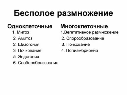 Кто размножается бесполым путем