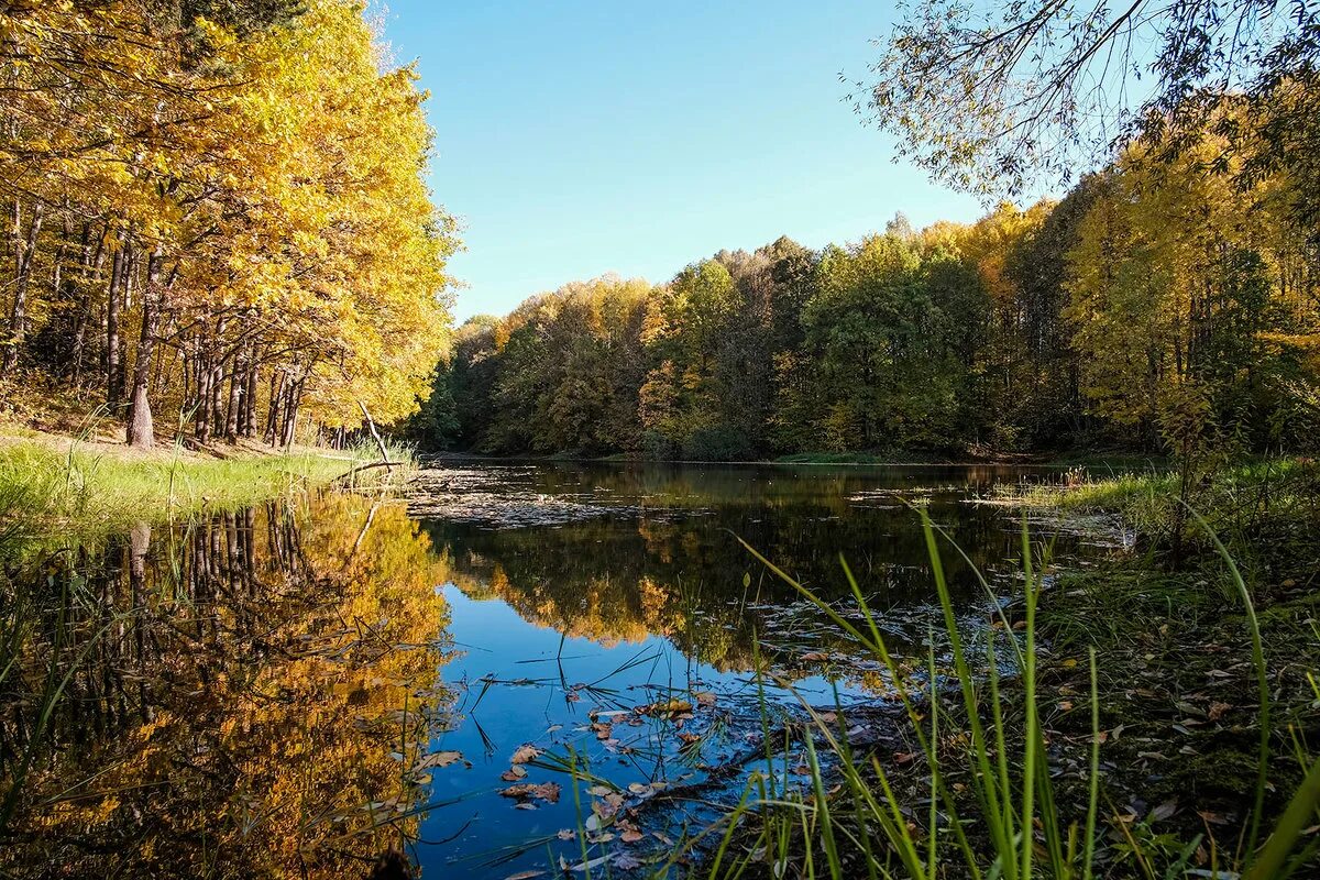 лесное озеро финансового университета