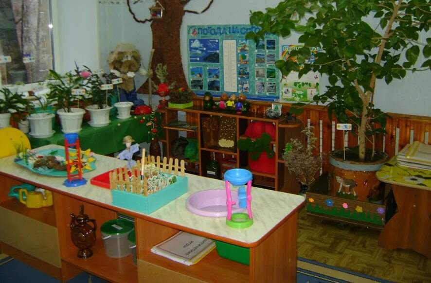 Уголок природы в детском саду. Природный уголок в детском саду. Экологический уголок. Экологический уголок в детском саду.