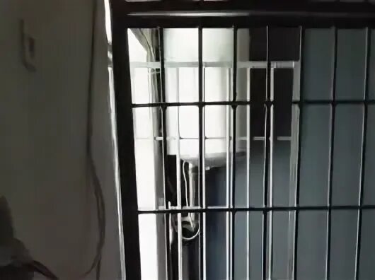 Конвой милиция. Ивс ровд. Городецкий изолятор временного. Полиция байкаловском районе. Камера временного содержания в полиции.