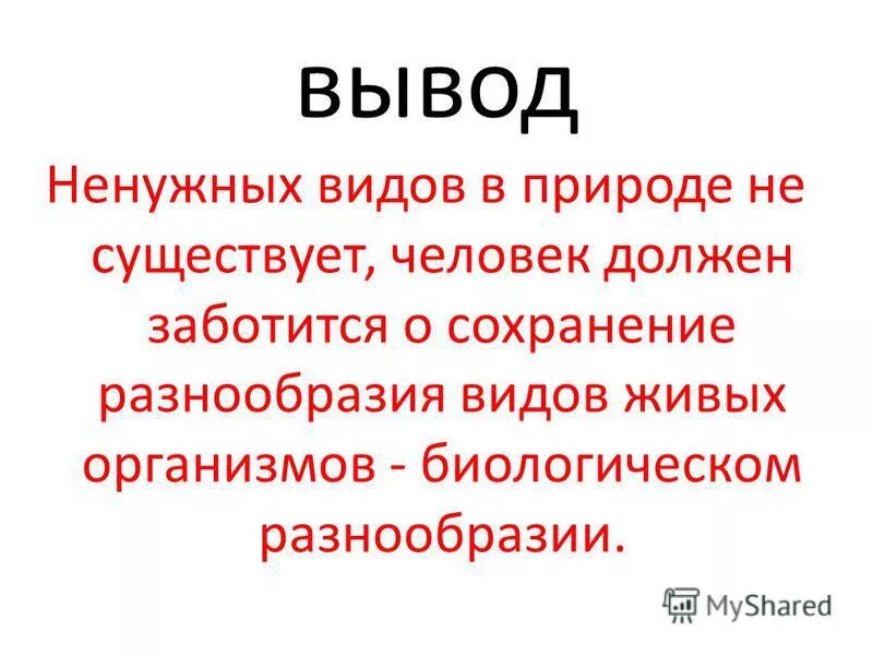 Бесполезный вид. Значение живых организмов в природе. Значение живых организмов в природе и жизни человека вывод. Живые организмы в жизни человека. Значение живых организмов в жизни человека.