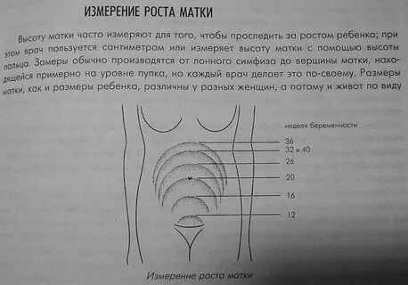 Где находится размер