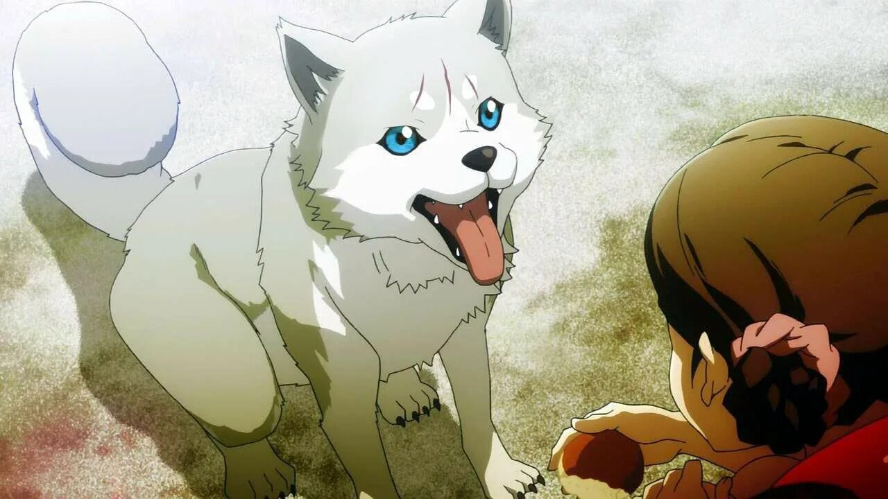 В мире нет плохих собак манга. Леон инугами. В мире нет плохих собак манга. В мире нет плохих собак манга. В мире нет плохих собак манга.