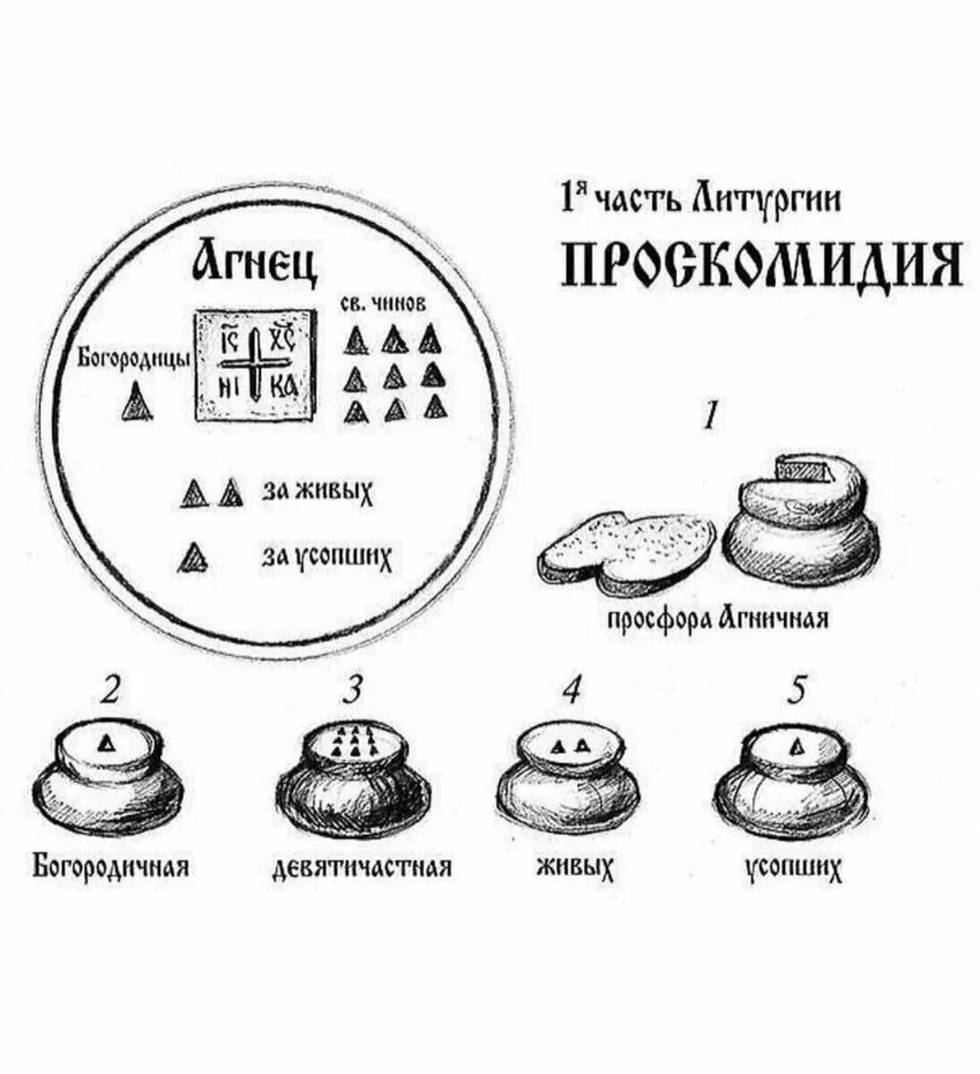 Чины божественной литургии. Просфоры на проскомидии. Литургия Проскомидия часть 1. Проскомидия схема просфор. Просфора церковная схема.