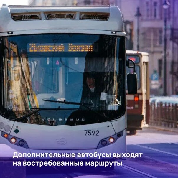 Остановки автобуса 241 спб. Автобус 241 Санкт-Петербург. Питер автобус 22. Автобус 183 Санкт Петербург. Автобус 18 СПБ.