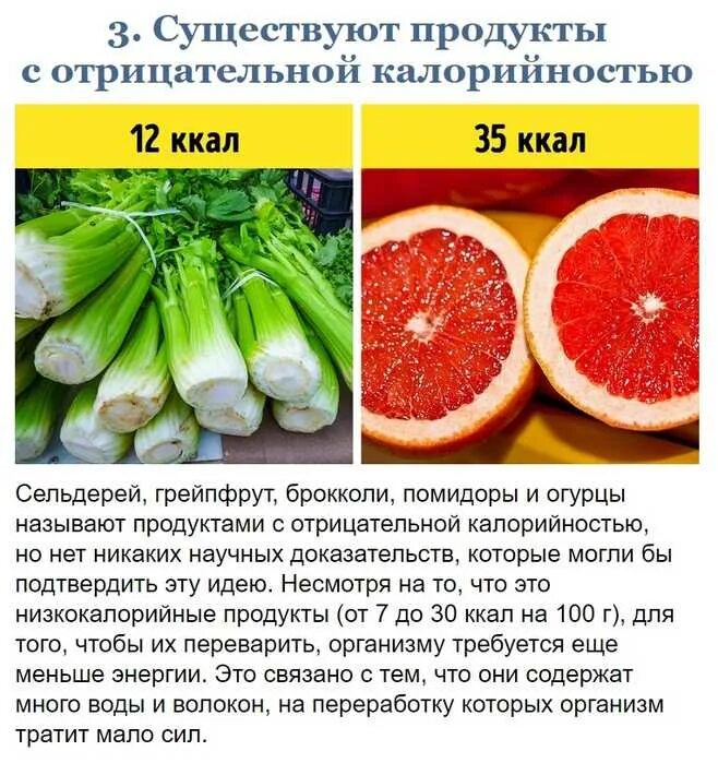 Самый низкокалорийный овощ. Продукты с отрицательной калорийностью. Продукты с отрицательными калориями. Продукты с отрицательной ккал. Продукты с минцсоой калорийностб.