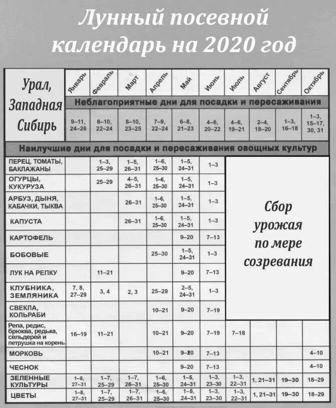 Лунный календарь для урала и сибири. Таблица календарь садовода урал. Лунный посевной календарь на 2021 год огородника для сибири. Календарь садовода и огородника. Лунный календарь 2021 уральский садовод.