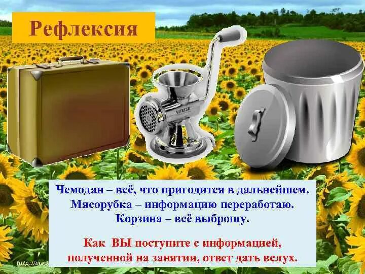 Мясорубка чемодан корзина. Рефлексия чемодан мясорубка корзина. рефлексия чемодан мясорубка. рефлексия мусорка мясорубка чемодан. рефлексия чемоданчик.