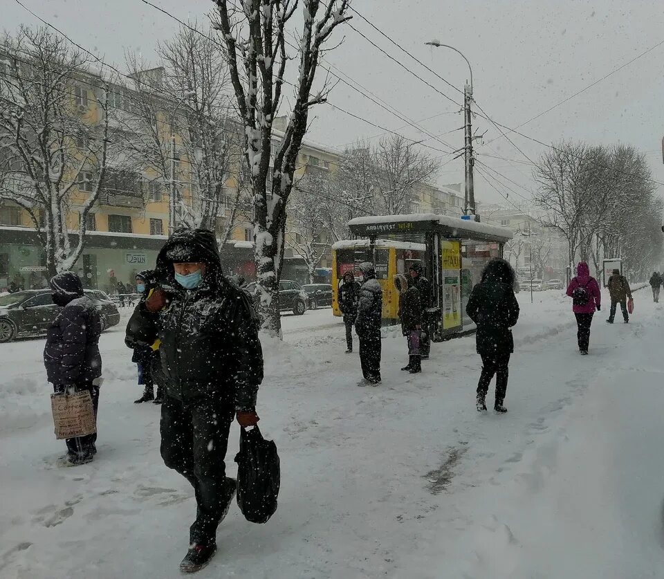 Какая погода в симферополе. Снег в Крыму. Снегопад в Крыму. Снегопад в Симферополе. Снегопад в Крыму вчера.