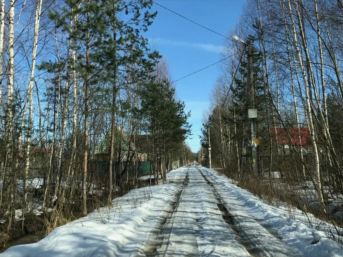 Наша рахья в контакте. СНТ Рахья Ленинградская область. СНТ Спутник Рахья. Рахья Всеволожск Спутник 2. Рахья Ленинградская область фото.