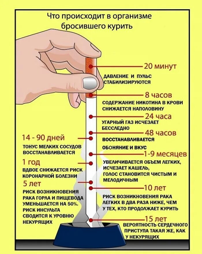 Что происходит после температуры. Как бросить курить. Если бросить курить. Выведение никотина из организма. После отказа от курения.