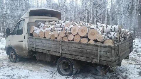 Сколько дров в 1 березе