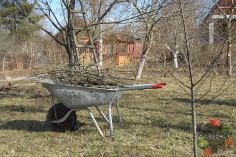 Дачный апрель