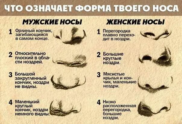 Nose description