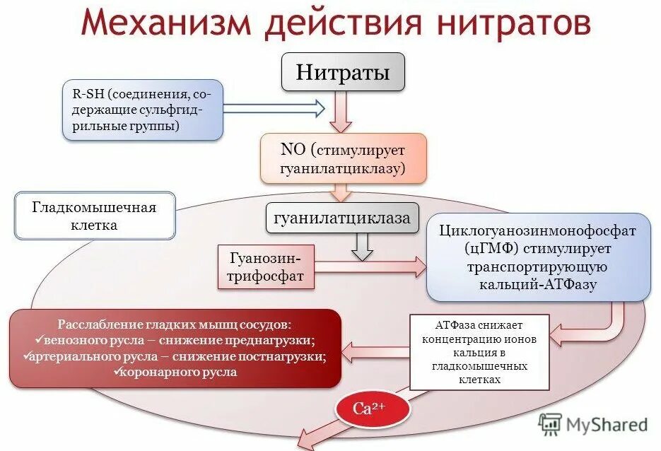 Препараты группы нитратов. Механизм действия нитратов при стенокардии фармакология. Механизм антиангинального действия органических нитратов. Механизм сосудорасширяющего действия нитратов. Механизм действия органических нитратов фармакология.