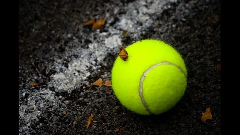 Tennis ball