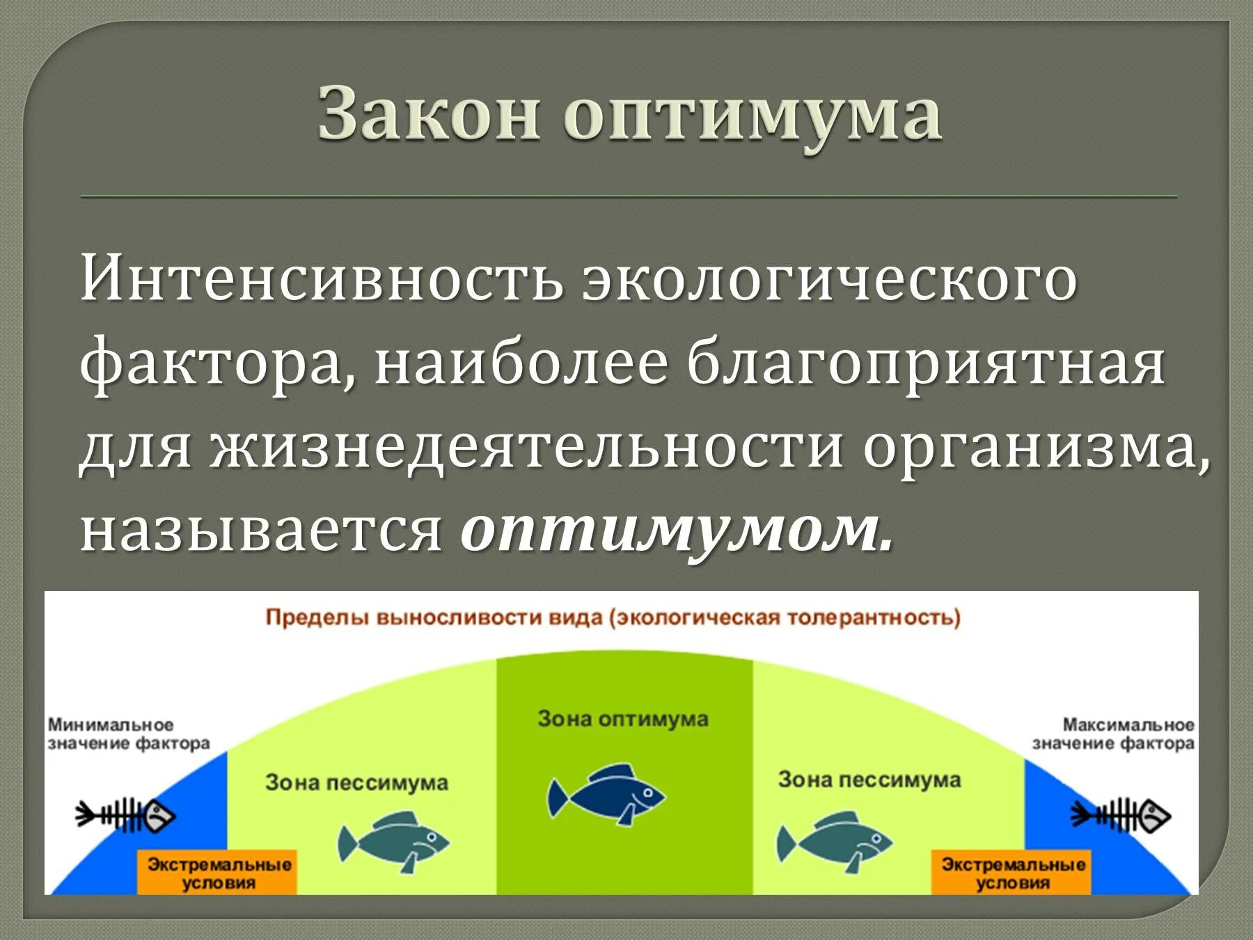 Недостаток какого экологического фактора