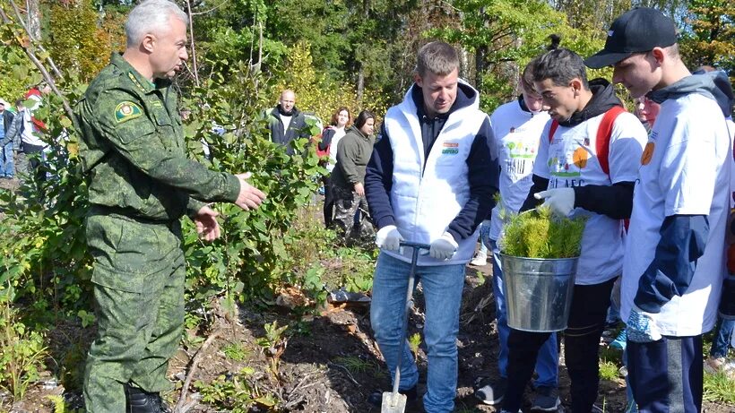 Деревья Балашихи. Благоустройство Ольгинского леса. Балашиха высадка деревьев в Горенском лесничестве. Советников и.в. на акции наш лес.