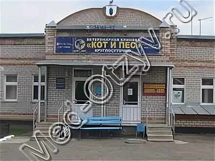 Кот и пес оренбург