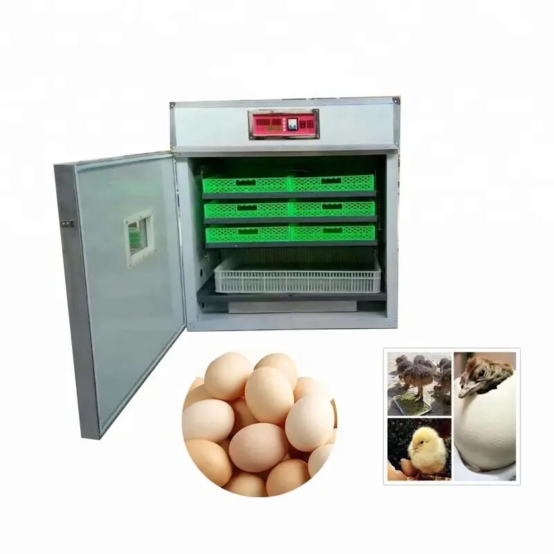 Incubator 200 Eggs. Полностью автоматический инкубатор для яиц. Инкубаторы на 100.  200 Яиц. Инкубатор для страусов.