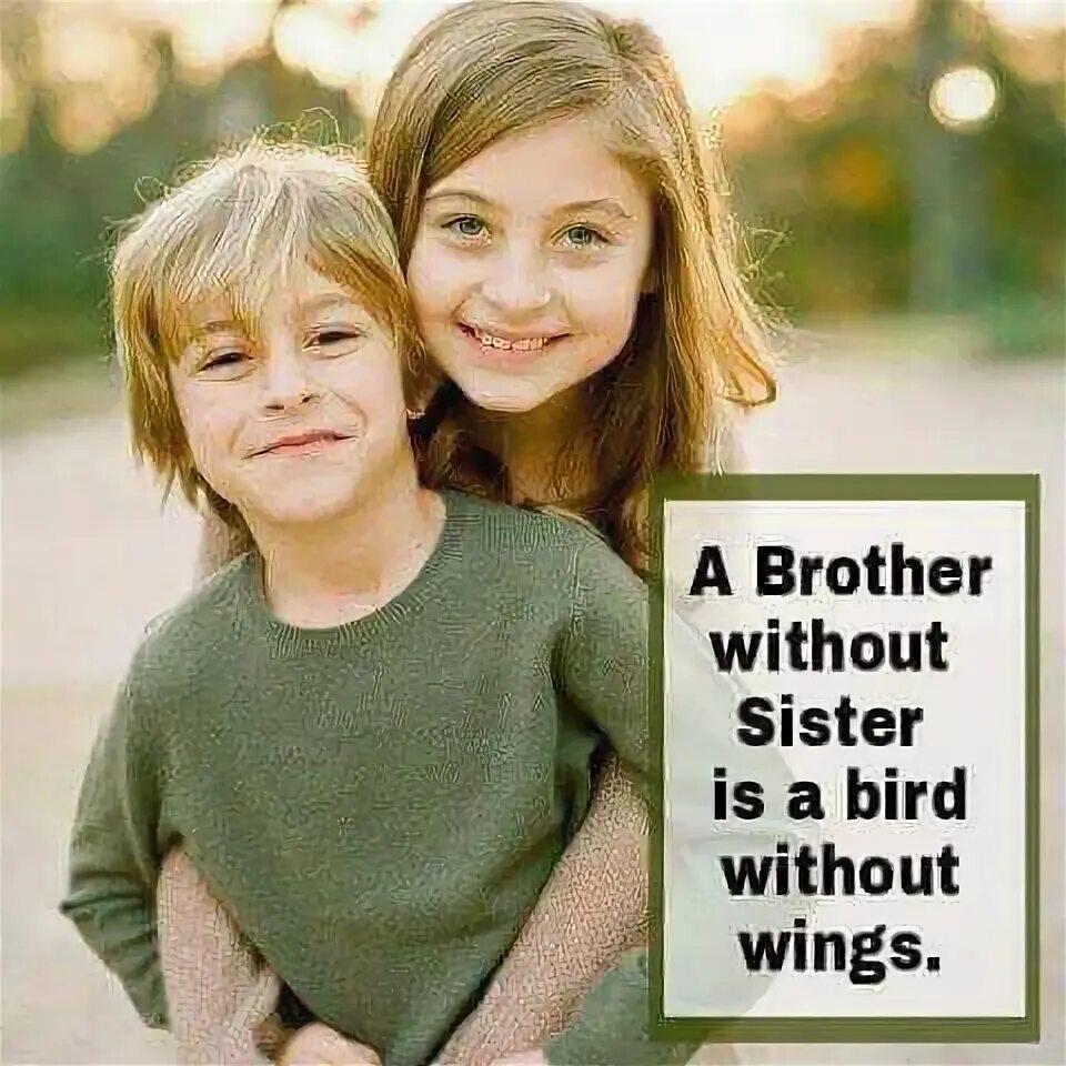 He a little brother. Brother with sister. Brother sister and friend. Sister из brothers.