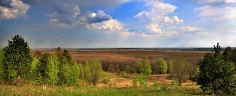 Лес сусанина где находится