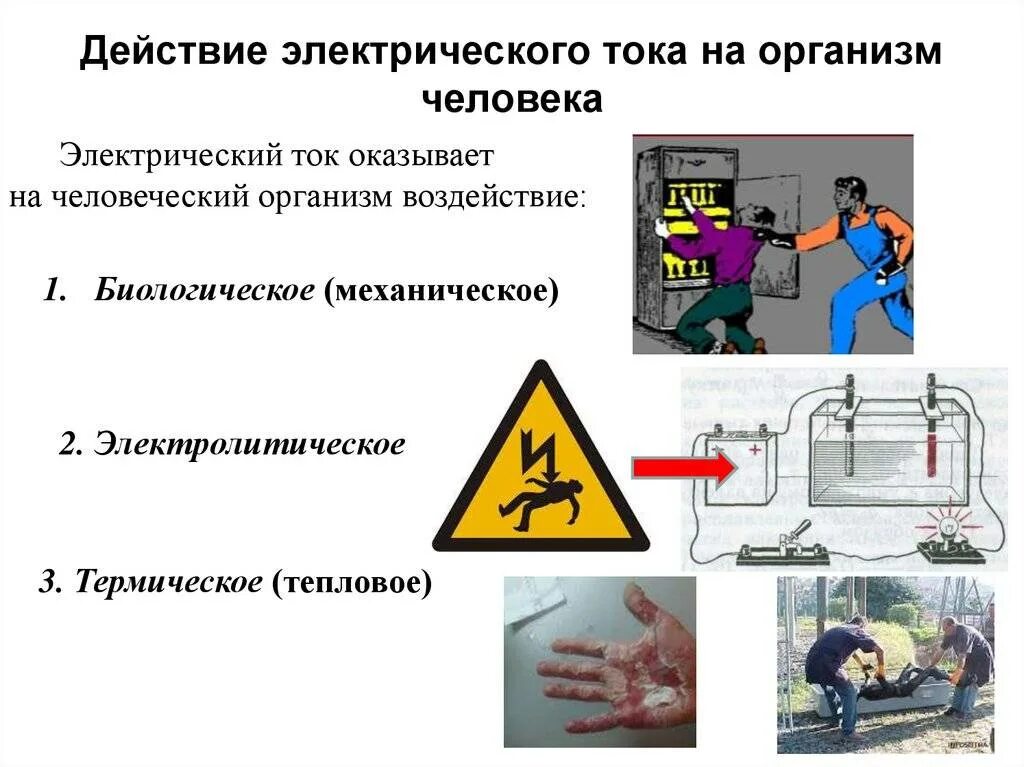 Самым опасным для человека является. Влияние электрического тока на организм человека. действия электрическогот тока на организм человека. 1. воздействие электрического тока на организм человека. тепловое воздействие электрического тока на организм человека.