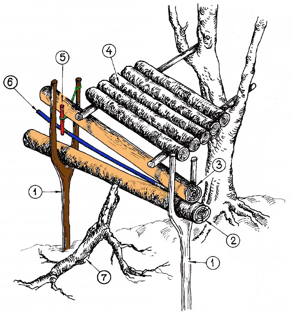 кулемка на куницу. пружинная кулемка на куницу. капканы суас охота на куницу. капкан кулемка на куницу. ловушка кулемка.