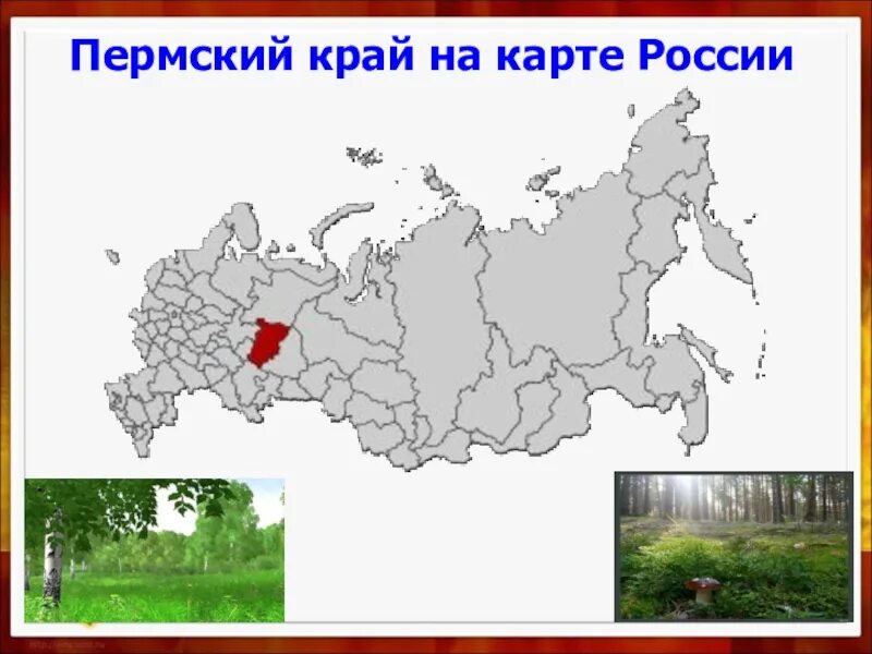 Местоположение перми. Пермский край на карте России. Перьмский край на карте Росси. Пермский край на карте России границы. Расположение Пермского края на карте России.