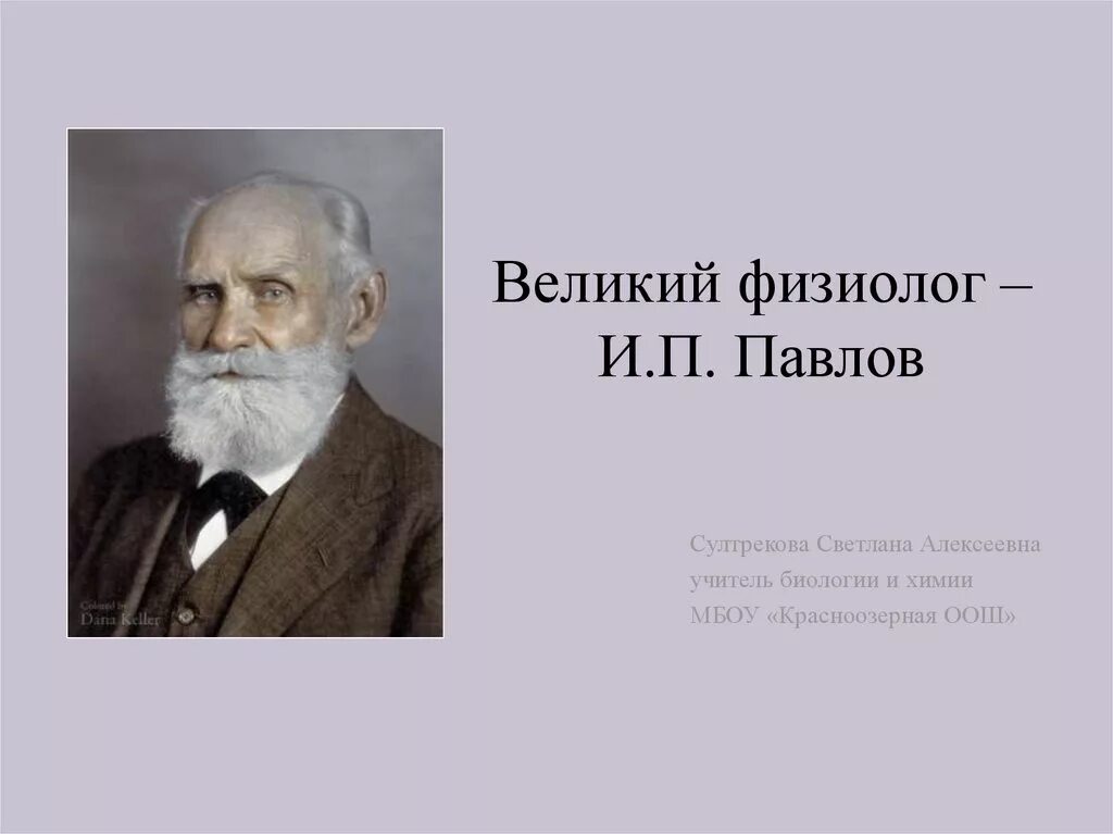 Великий физиолог и.п. Павлов.