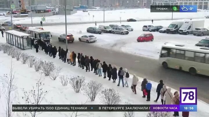 Очередь на маршрутку в Мурино. Очередь на маршрутку. Очередь на маршрутку в Москве. Очередь на автобус в Мурино. Маршрутка уехала не подкините маша полное видео