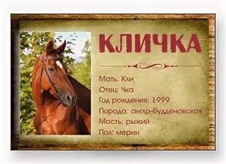 Русские клички лошадей. Клички коней. Имя для жеребенка. Имена для лошадей. Имена для коней Жеребцов.